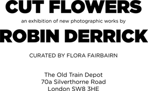 Robin Derrick: Cut Flowers