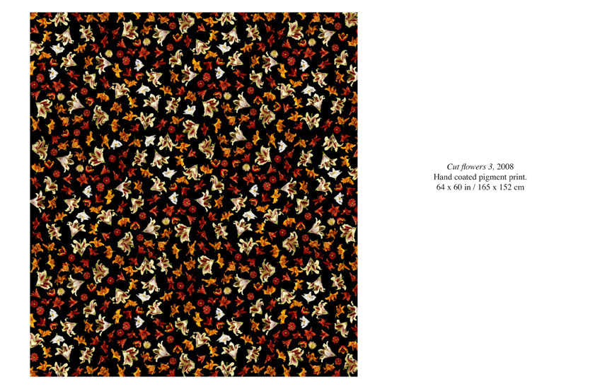 Robin Derrick: Cut Flowers