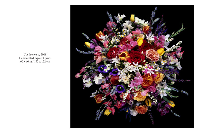 Robin Derrick: Cut Flowers