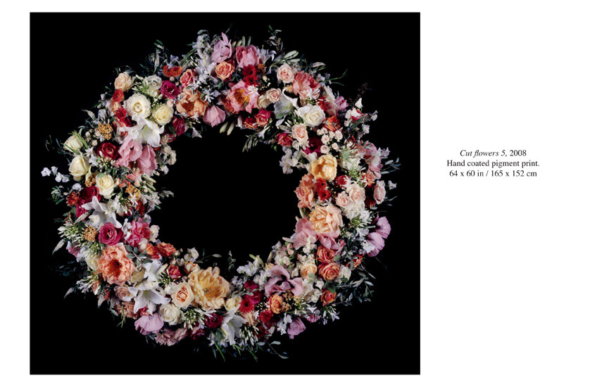 Robin Derrick: Cut Flowers