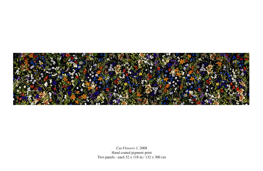 Robin Derrick: Cut Flowers